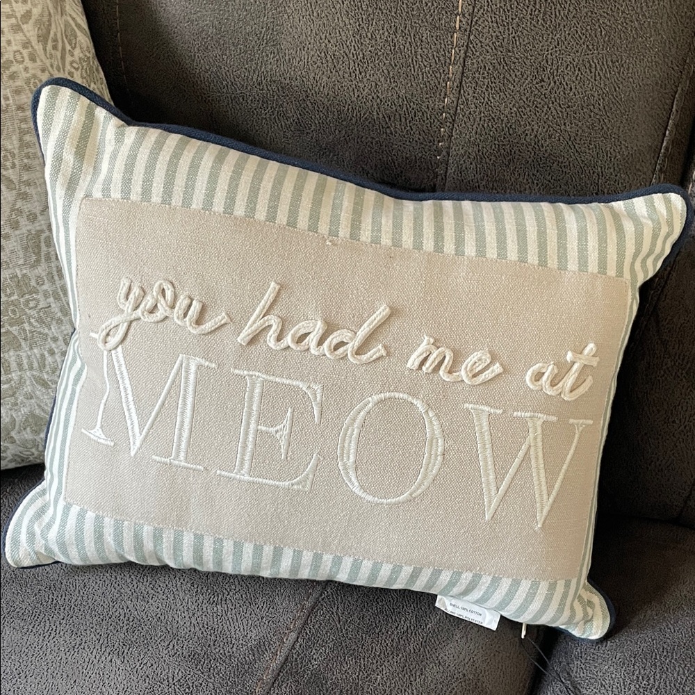 Kirklands decorative pillow.